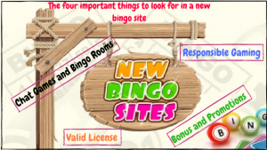 The Four Important Things to look for in a new bingo site