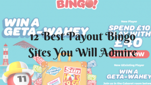 12 Best Payout Bingo Sites you will admire