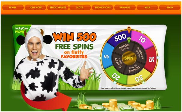 Lucky Cow Bingo