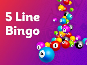How to play 5-Line Bingo online?