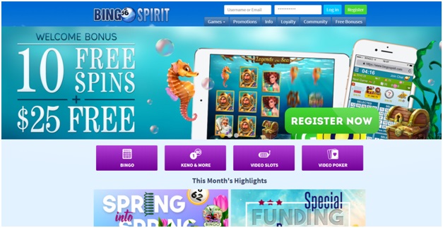 Bingo spirit no deposit