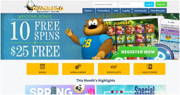 Cyber bingo $25 no deposit bonus